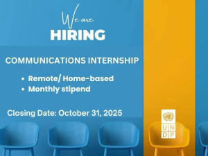 Communications Intern United Nations Development Programme USA