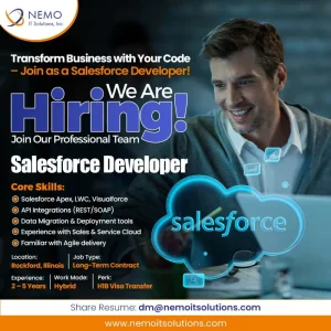 Salesforce Developer NEMO IT Solutions Rockford