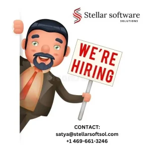 Multiple Software Development Stellar Software Solutions USA 