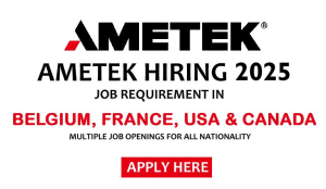 Development Engineer AMETEK, Inc. France