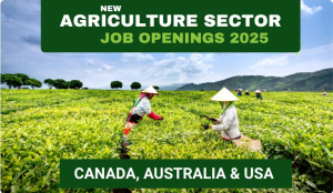 Agricultural Equipment agriculture sector Canada