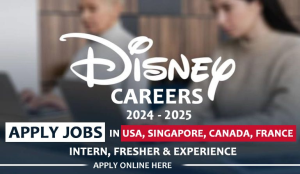Software Development Disney Entertainment USA