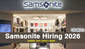 Financial Analyst Samsonite Incorporated Colorado