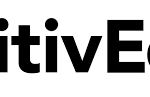 CognitivEdge Solutions