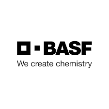 Process Engineer BASF SE Germany