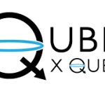 Qubit Dynamics