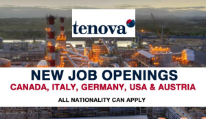 Project Engineer Tenova USA  