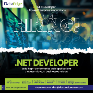 Developer DataEdge Solutions USA