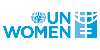 International Programme Consultant UN Women USA