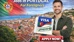 Developer TechWave Solutions Portugal 