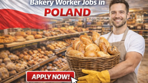 Baker's Assistant Piekarnia Poland