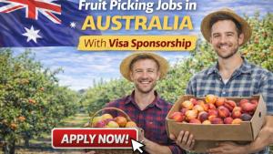Harvest Worker Golden Harvest Labour Solutions Australia 