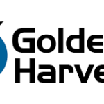Golden Harvest Labour Solutions