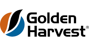 Harvest Worker Golden Harvest Labour Solutions Australia 