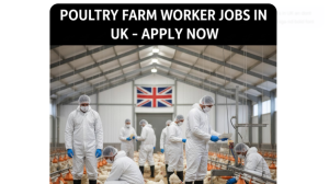 Poultry Assistant Mosshead Egg Farm Scotland