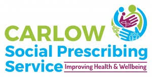 Support Assistant The Carlow Community Care Network Ireland